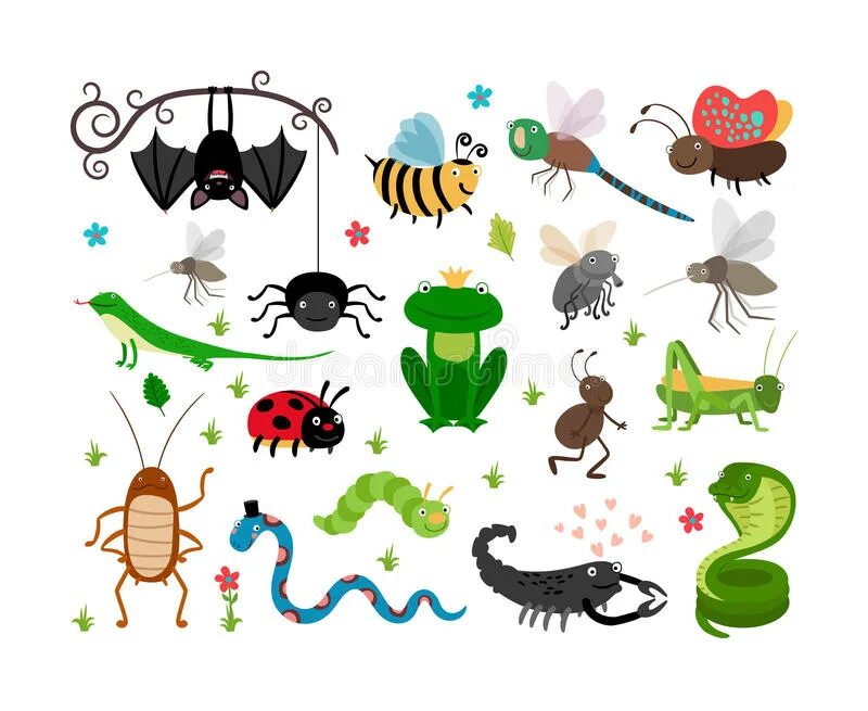 Вектор милые насекомые. Насекомые пресмыкающиеся иллюстрации. Рисование сюжетное насекомые и пресмыкающиеся.