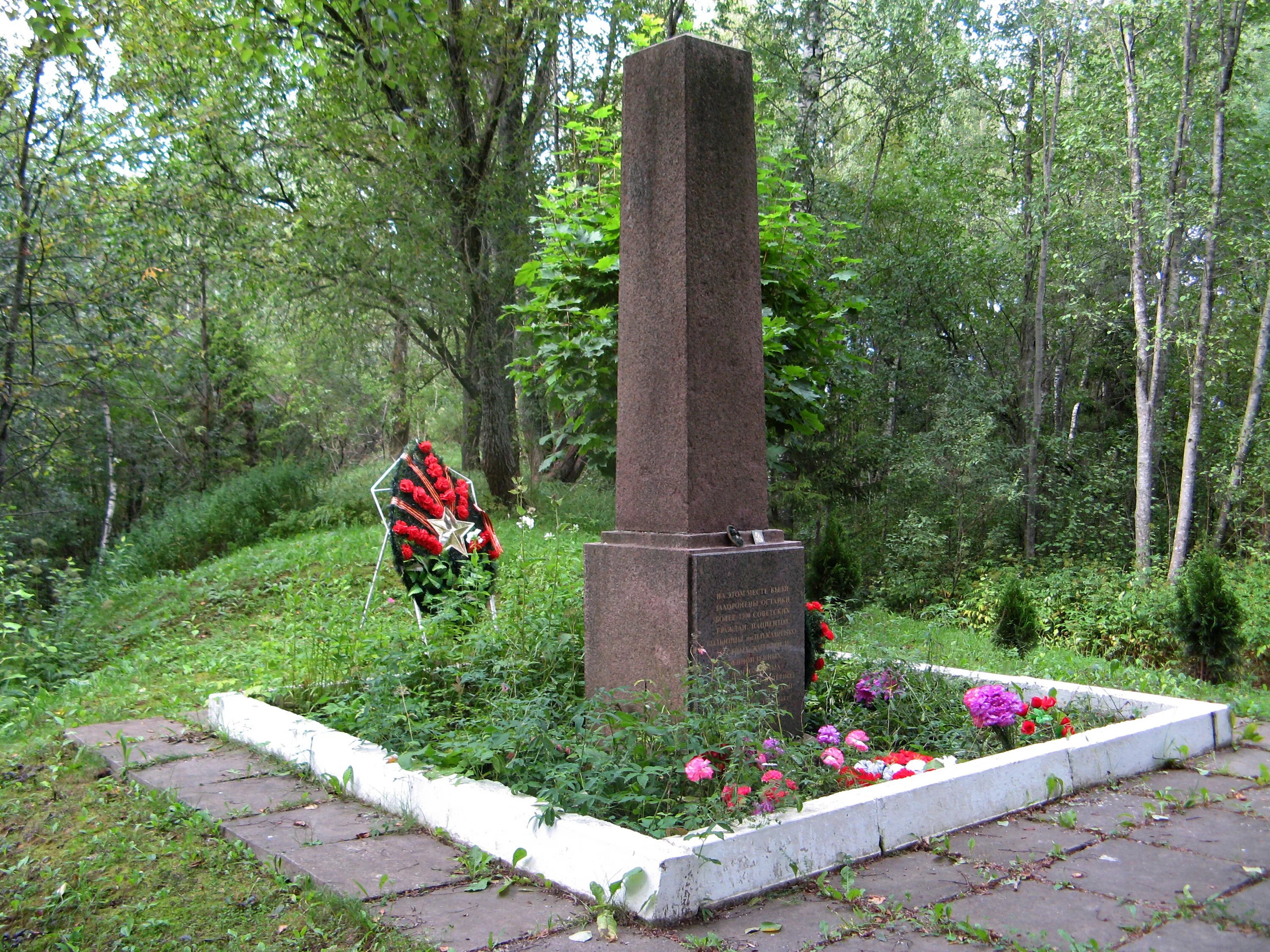 Памятники никольское. Кащенко памятник. Никольское памятник. Больница Кащенко в Никольском памятник.