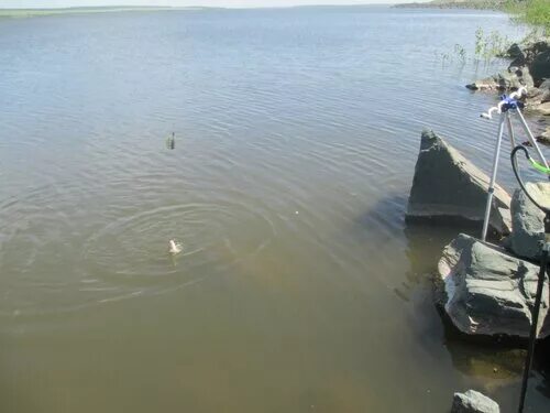 Сайт сорочинского водохранилища оренбургской области. Красночабанское водохранилище Оренбургской. Сорочинское водохранилище. Сорочинское водохранилище Оренбургской области. Междуреченское водохранилище Оренбург.