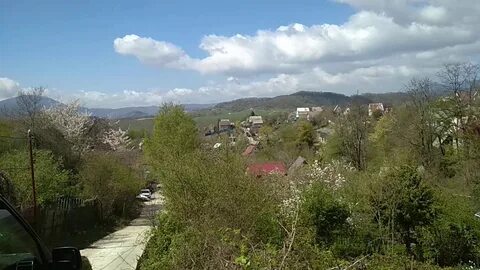 Погода голицыно адлер