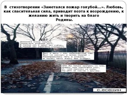 Анализ стихотворения есенина голубая
