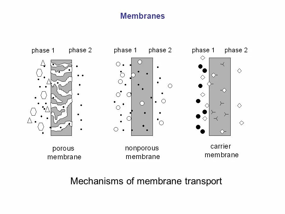 Membrane перевод. Membrane separation of gases. test list membrane. формула separation factor. gn separation.
