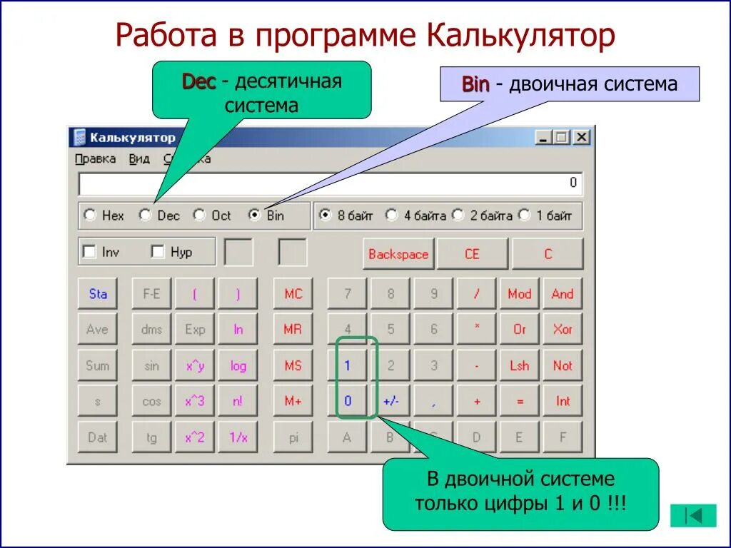 Калькулятор ветвей