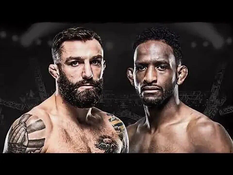 Обзор ufc 299