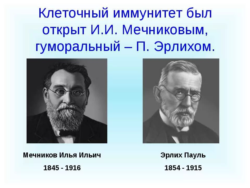 Теория иммунитета ученый. Мечников и Эрлих 1908. Пауль Эрлих и Мечников. Мечников и Эрлих иммунитет.