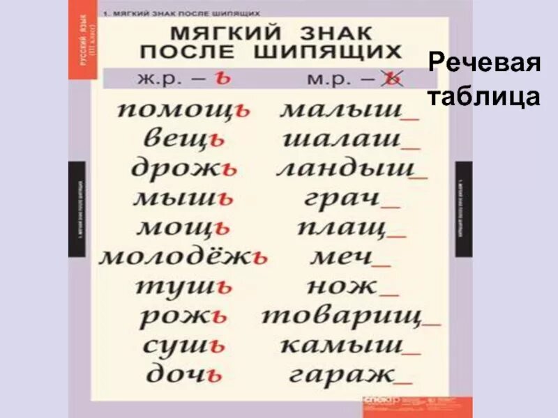 Правописание мягкого знака после шипящих в существительных. Мягкий знак на конце существительных после щипящие. Мягкий знак после шипящих на конце слова существительных. Мчгкий знак после шипящие. Употребление мягкого знака на конце слова