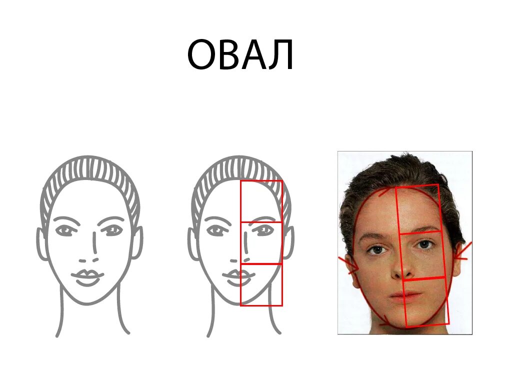 Какие выделяют формы лица. Продолговатая форма лица. Форма лица овал. Овальный Тип лица. Продолговатый Тип лица.