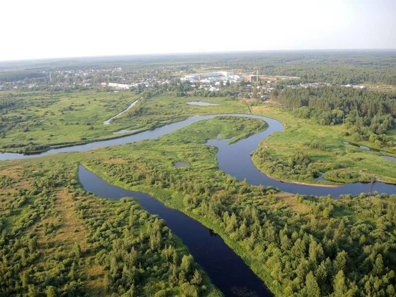 Мещера Окский заповедник. Пра река Рязань. Река пра Мещера. Солотча извилистая река