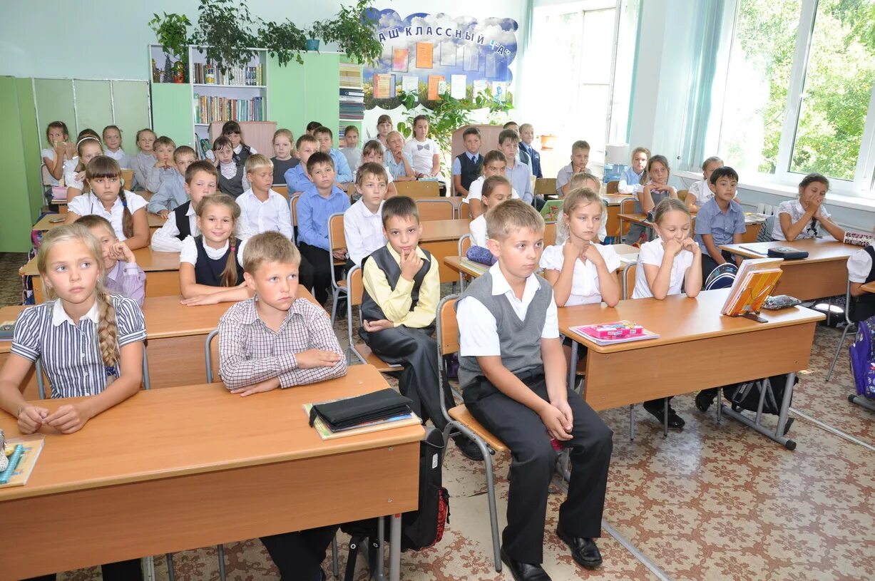Шабанова самара мбоу124. Ученики школы 50. Школа номер 18 город иваново. Школа 50 самара. Первое сентября 2 класс.