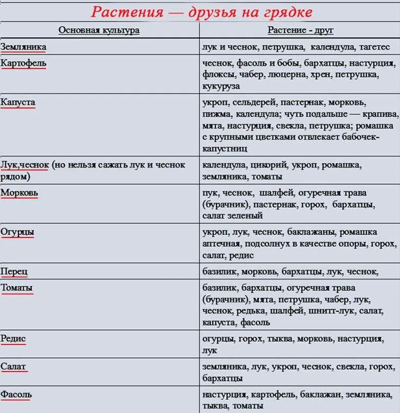 Совместимость овощных культур при посадке на грядке таблица. Соседство овощей на грядках таблица совместимости растений. Соседство овощей на грядках в огороде таблица. Совместные посадки овощей на грядке таблица.