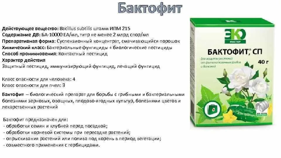 Препарат против болезней. Препарат Бактофит. Бактофит порошок. Фунгициды для растений. Биофунгицид Бактофит.