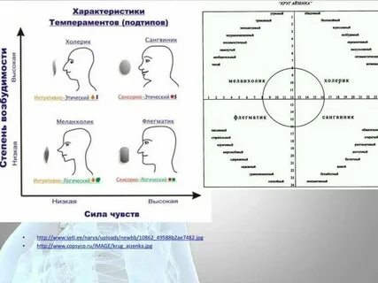 Тест на легкий характер на русском языке