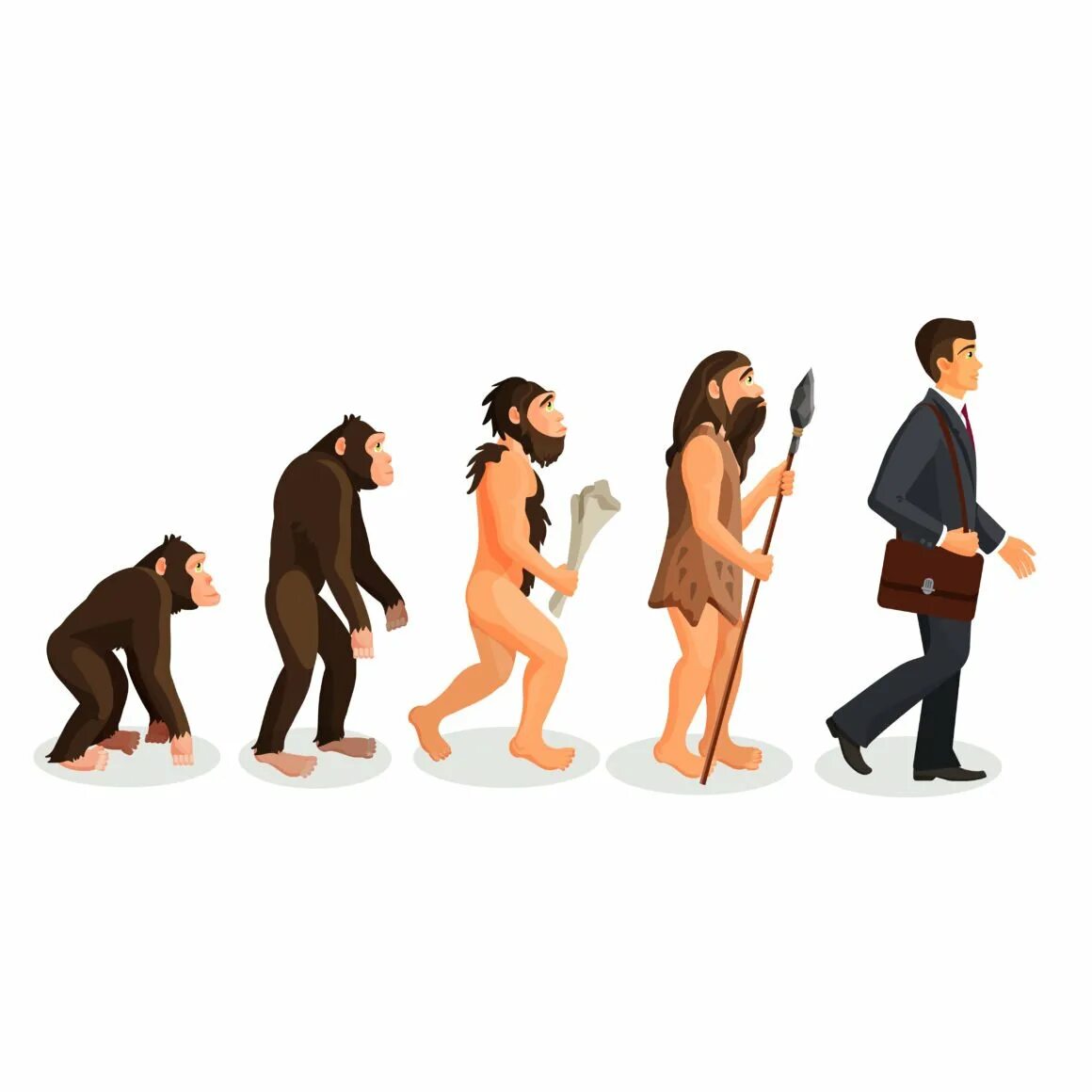 Эволюция человека. Эволюция человека от обезьяны. Превращение обезьяны в человека. Эволюция обезьяны в человека. Процесс превращения человека в обезьяну
