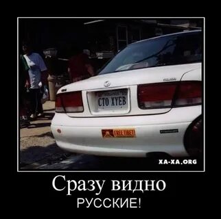 Сразу видно человек с юмором