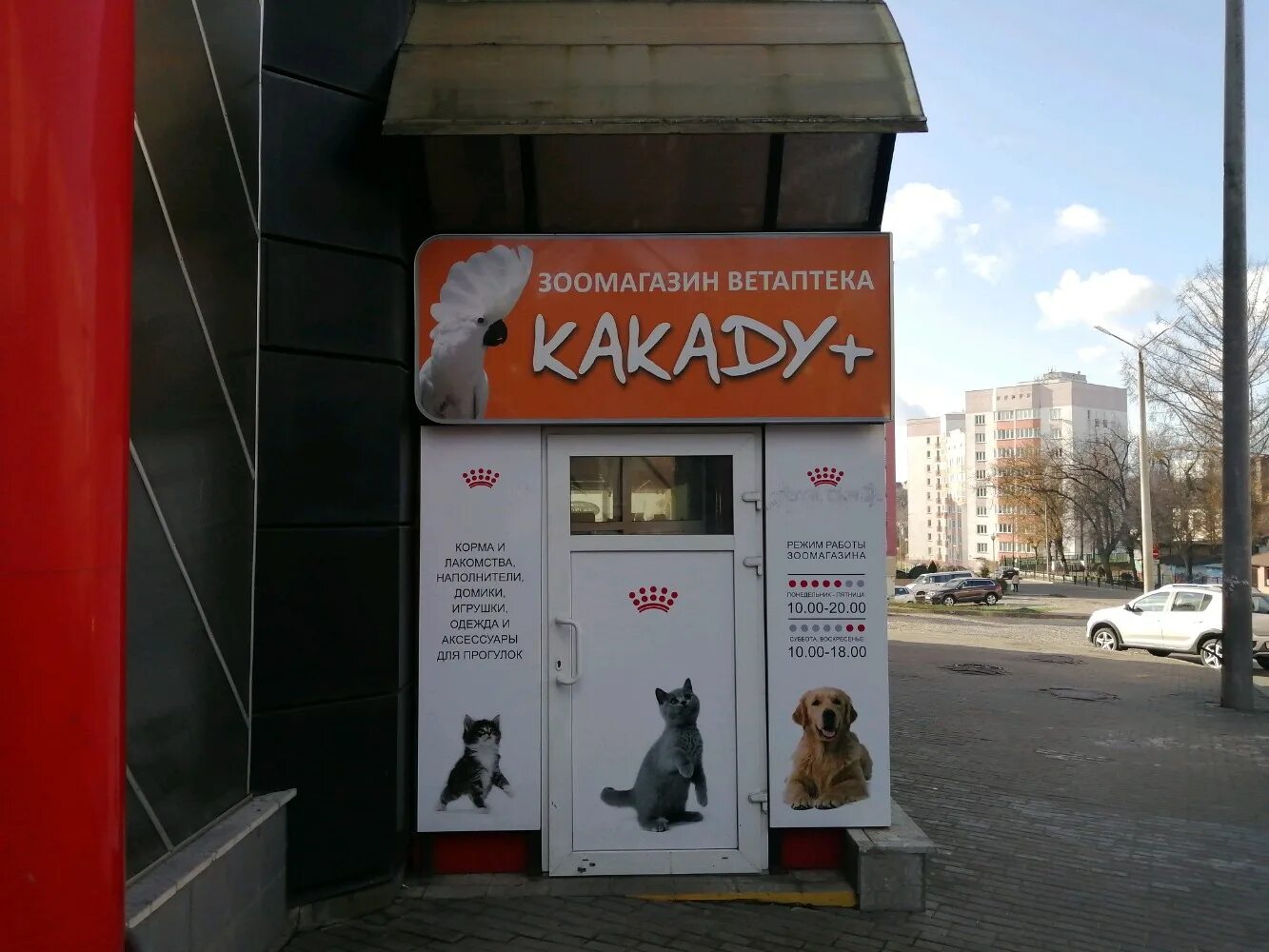 Какаду вет, ветеринарная клиника, Первомайская ул., 77, корп. 1, Могилёв, Белару