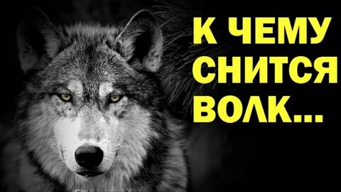 К чему снятся люди волки