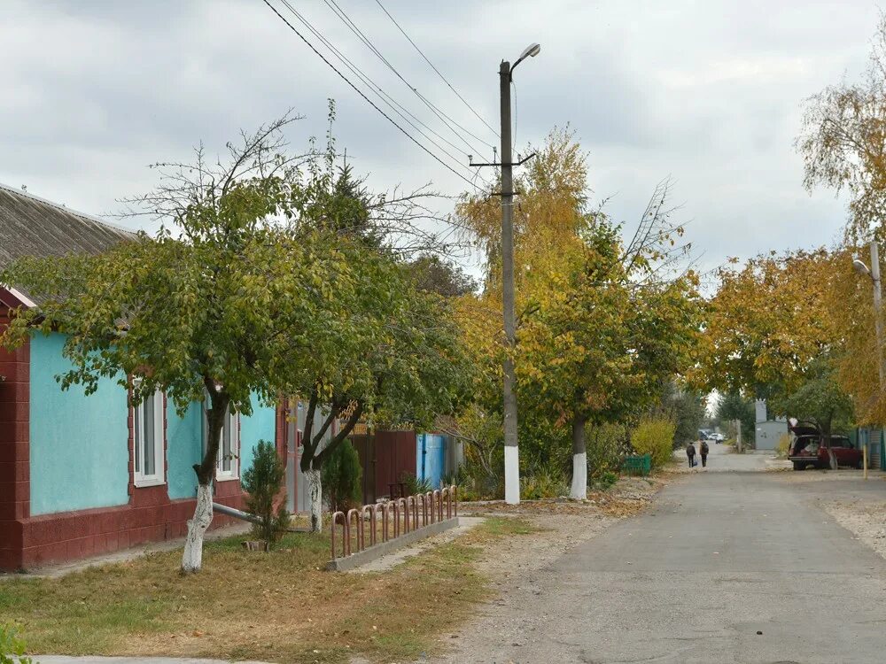 Погода в новопавловске на 10 ставропольского края. Новопавловск Ставропольский край. Город Новопавловск Кировский район Ставропольский край. Озеро в Новопавловске Ставропольского края. Численность населения Новопавловск Ставропольский край.