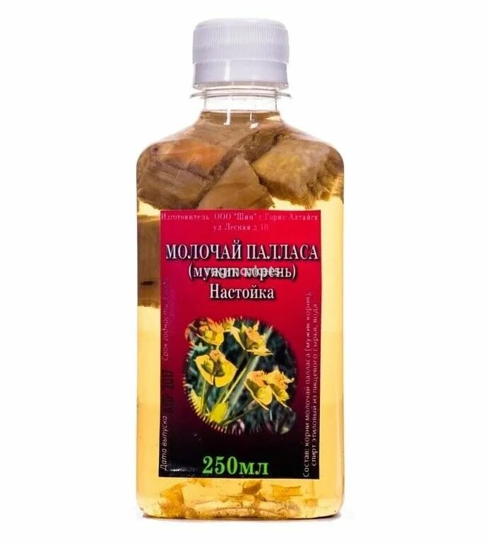Настойка мужик корня. Мужик корень в забайкалье. Мужик корень молочай палласа лекарства. Мужской корень молочай палласа. Молочай палласа или фишера (euphorbia fischeriana).