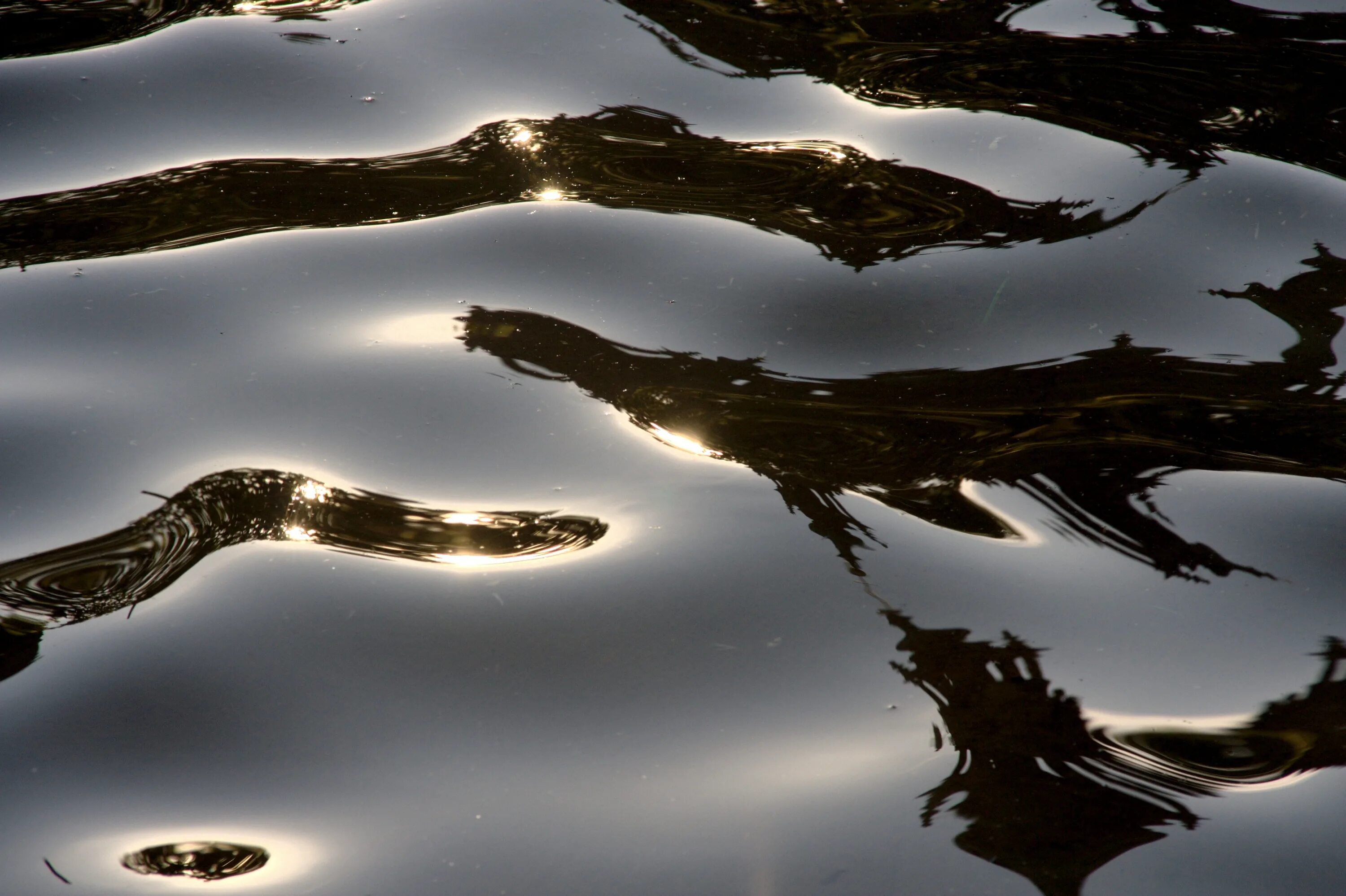 Отражение вода песни. Отражение в воде. Зеркальная поверхность воды. Зеркальные поверхности в природе. Эффект отражения в воде.