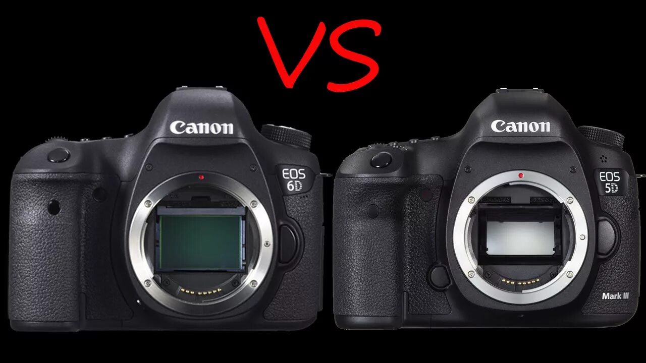 Canon 5d vs 5d mark. Canon EOS r6 Mark II. 5d Mark 3 Canon 6d. Canon 5d Mark 2. Canon 6d Mark 2.