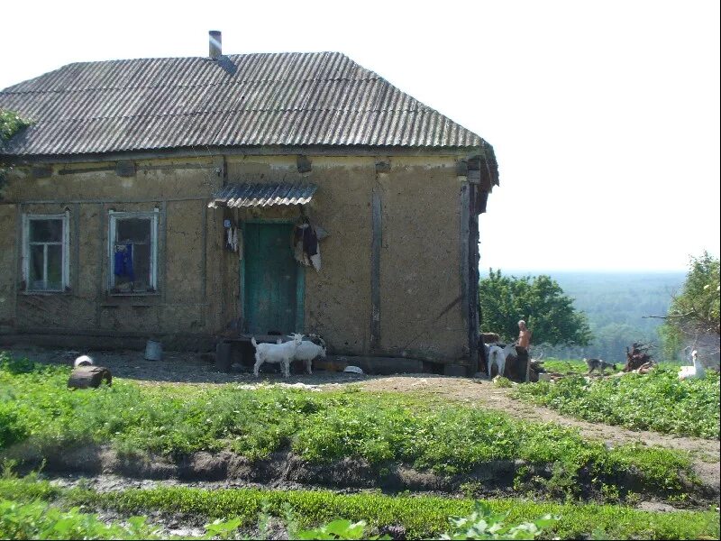 Село коршево. Погода в коршево бобровский воронежская. Село коршево воронежская область. Дом коршево. Коршево пролетарская 5 а.