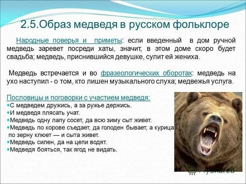 Сонник медведь к чему снится женщине. Образ медведя в русском фольклоре. Образ медведя. Медведь в литературе. Образ медведя в художественной литературе.