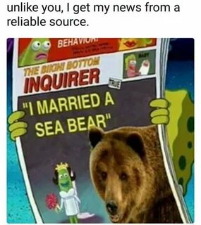 I married a sea bear