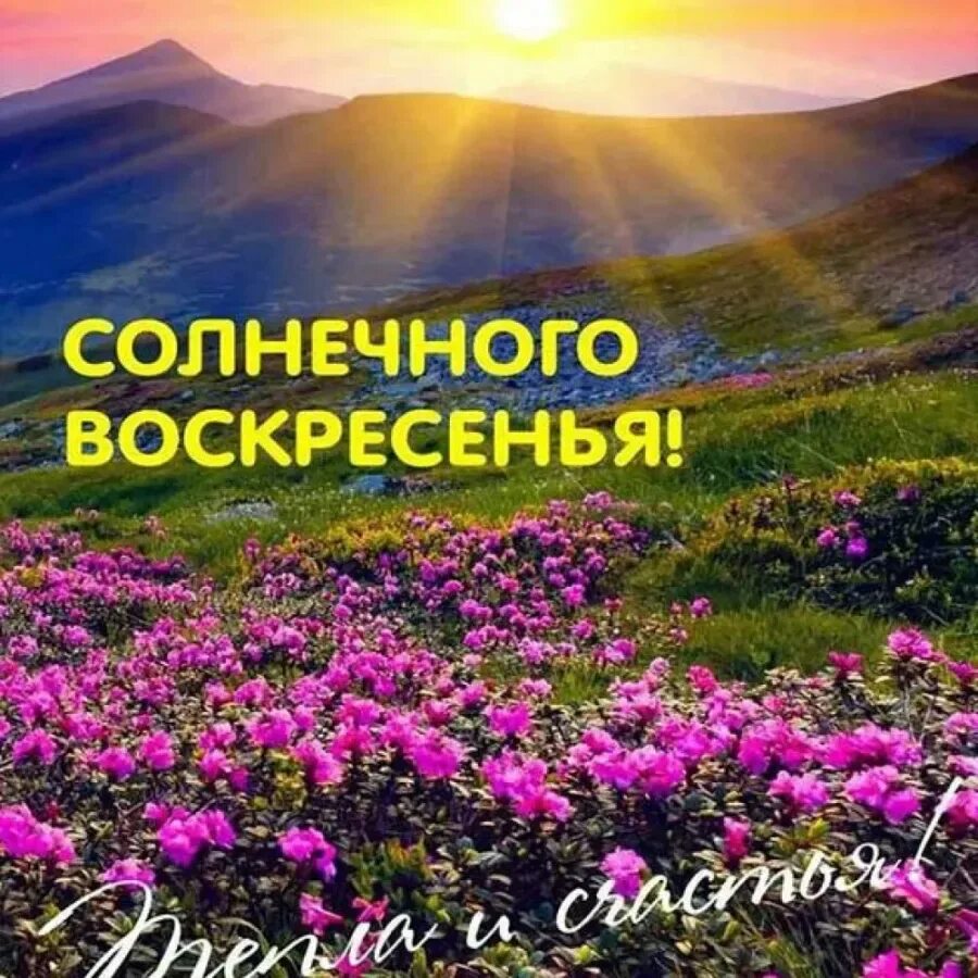 Служба воскресного дня. Открытки с воскресным утром. Солнечного воскресенья. Открытки с добрым утром воскресенья. Доброе утро хорошего воскресенья.