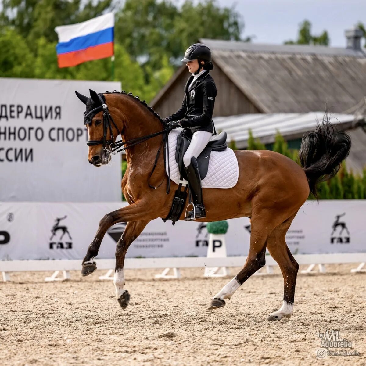 Кск акции. Конноспортивный комплекс Пассаж Нижний Новгород.