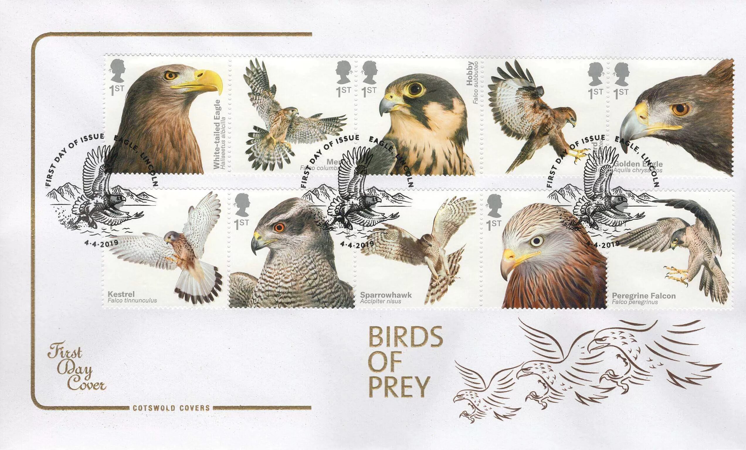 Айдентика Birds of Prey. Шрифты Prey of Birds. Sign Birds of Prey. Eodon Bird of Prey.