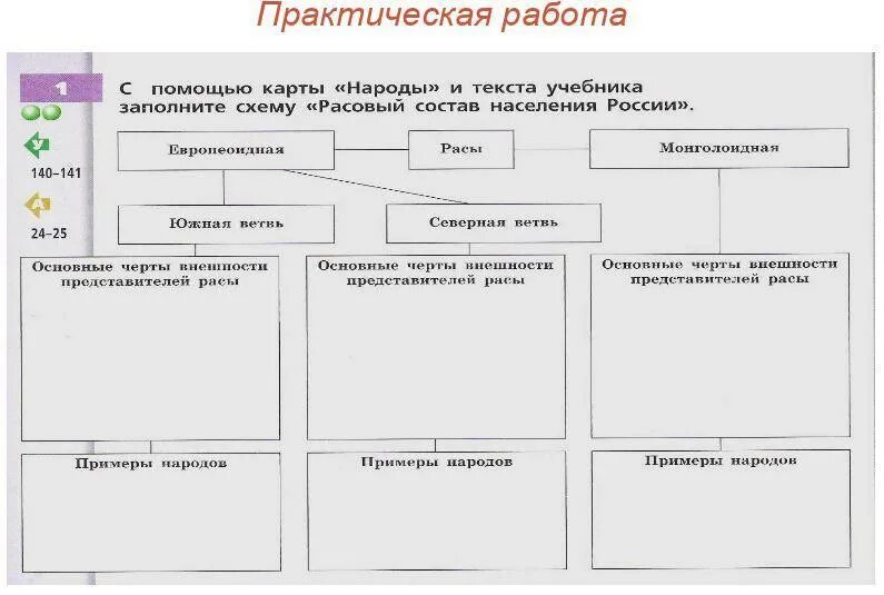 Население россии 8 класс учебник. Практическая работа. Состав населения схема. Таблица расы населения.