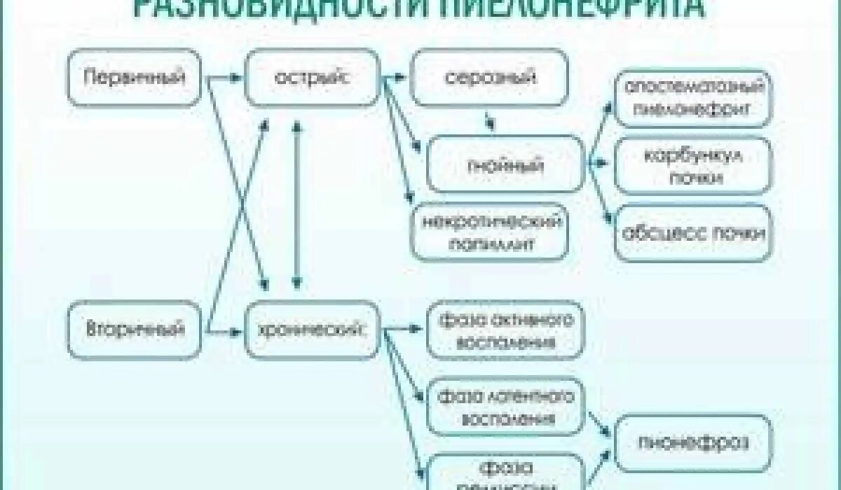 Пиелонефрит причины возникновения. Факторы возникновения острого пиелонефрита. Острый пиелонефрит причины возникновения. Хронический пиелонефрит причины возникновения.