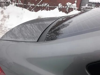 Жабо задние
