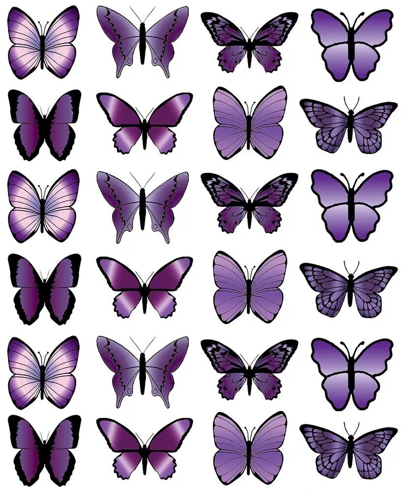 Фиолетовые бабочки картинки. Сиреневые бабочки. Бабочки сиреневые для печати. Бабочка фиолетовая. Бабочка рисунок.