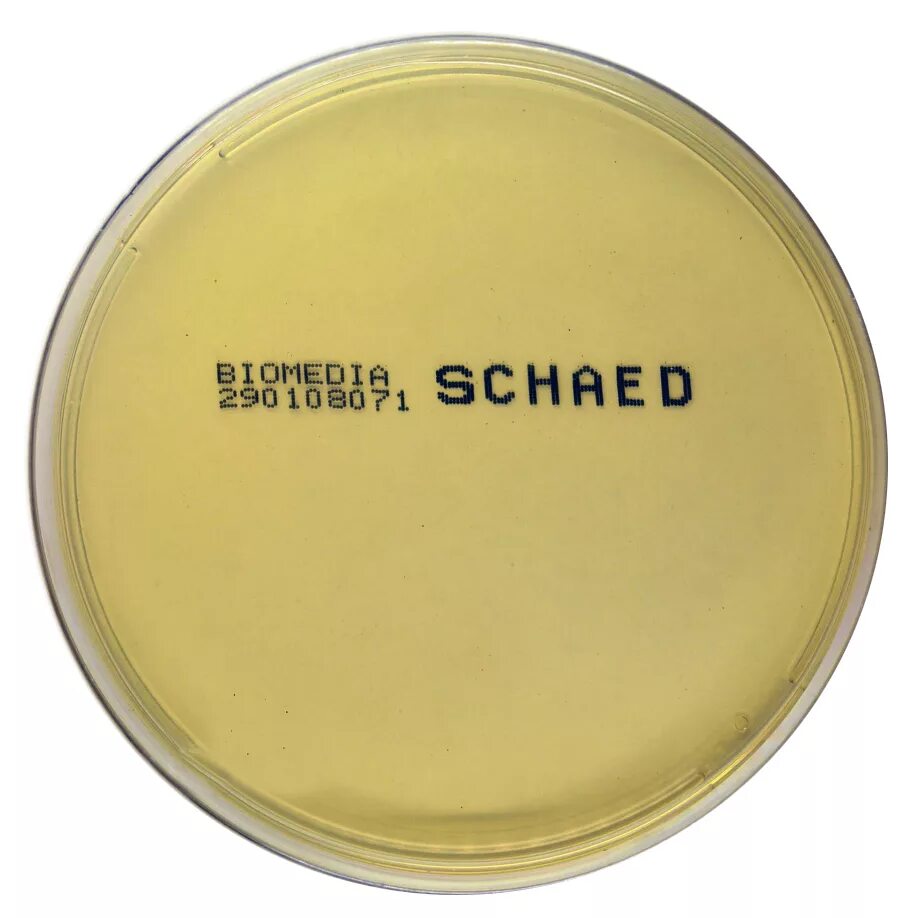 Питательная среда ивд. Агар-порошок 500г oxoid. Питательная среда грм агар. Висмут агар питательная среда. Питательные среды оксоид.