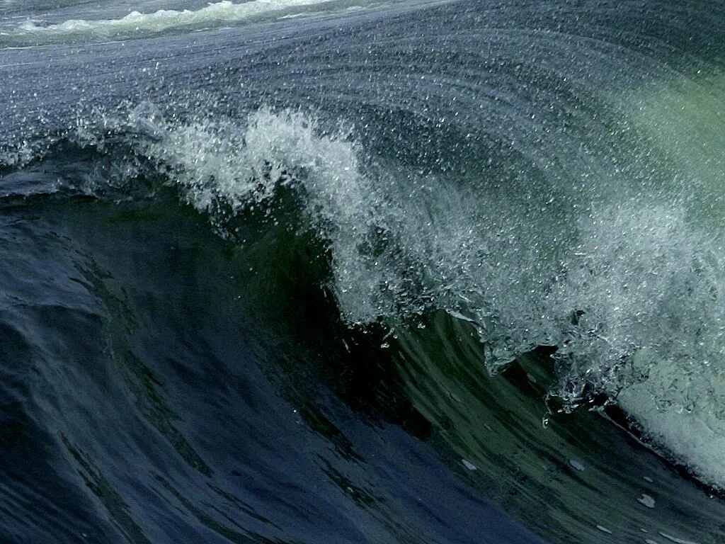 Wave is open