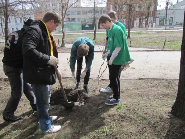 Сочувствующий зеленым эколог 9 букв. Зеленый патруль. Зелёный патруль экологическая организация. Цели зеленого патруля. Организация зелёный патруль цель.