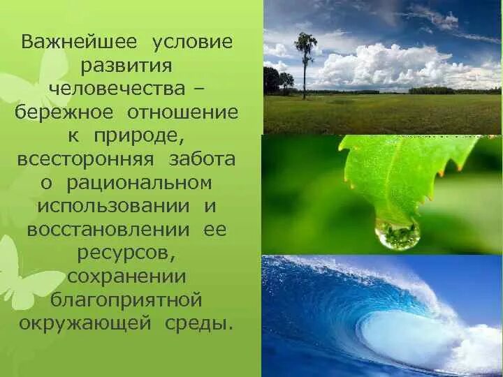 Бережное отношение к природе. Бережное отношение к природе презентация. Бережное отношение к природе проект 5 класс. Проект на тему бережное отношение к природе. Написать о бережном отношении к природе