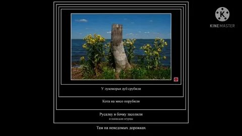 Лукоморье порубили
