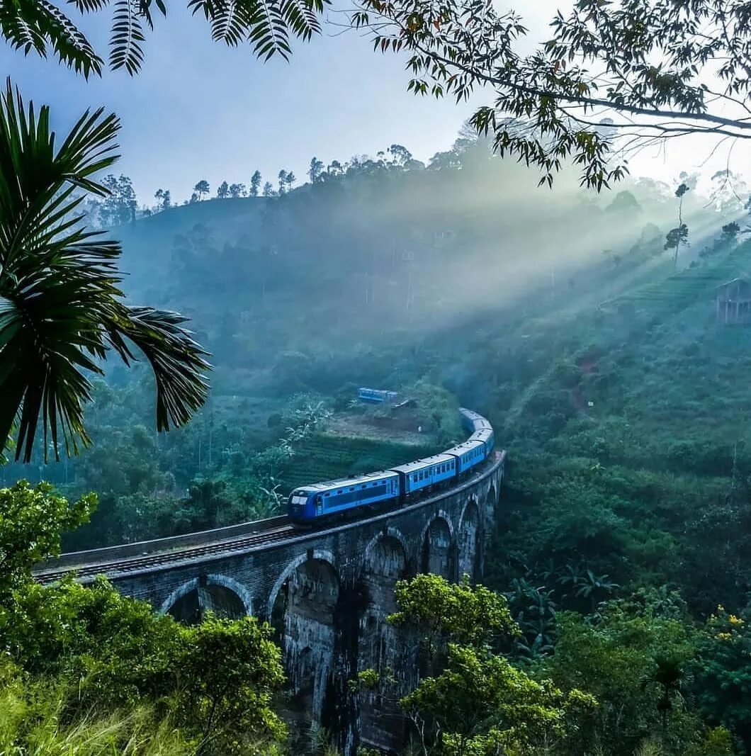 Шри ланка дорого. Девятиарочный мост Шри-Ланка. Нувара Элия девятиарочный мост. Девятикрочнвц мост шриланка.