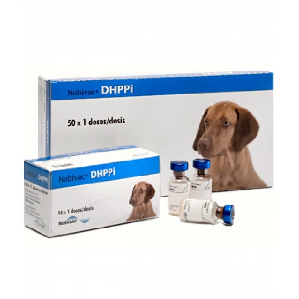 DHPPI вакцина для собак. Нобивак DHPPI 10х1д. Nobivac DHPPI+LR. Нобивак DHPPI RL для собак. Нобивак с бешенством для собак купить