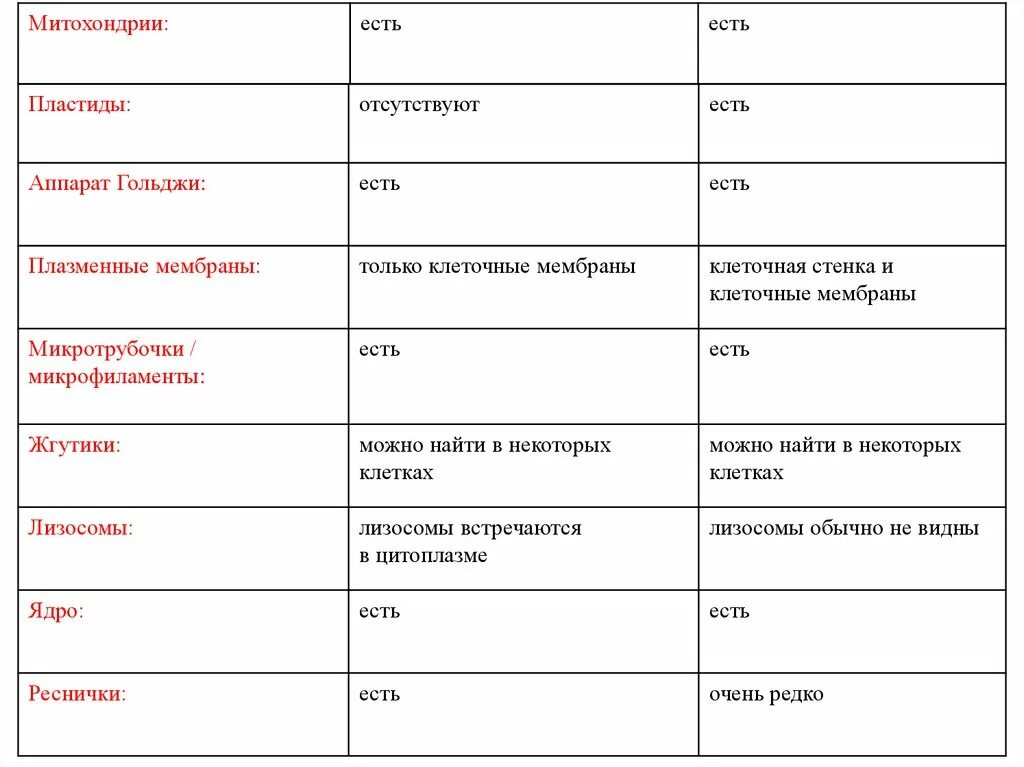 Установите соответствие хлоропласт митохондрия. Сравнительная характеристика митохондрий и пластид. Сравнительная таблица митохондрий и пластид. Сравнение митохондрий и пластид. Сравнение митохондрий и пластид таблица.