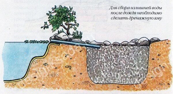 Вскрытию подвергают из каждого пруда не менее. Дренажные ямы для сбора дождевой воды. дренаж водоема. дренажный пруд на участке. дренаж пруда.