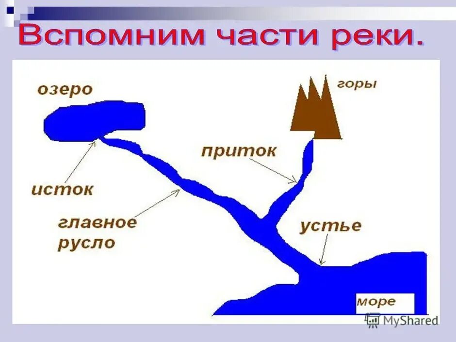 Схема река вытекает из озера Исток Устье. Части реки схема. Река и ее части схема. Схема река вытекает из озера.