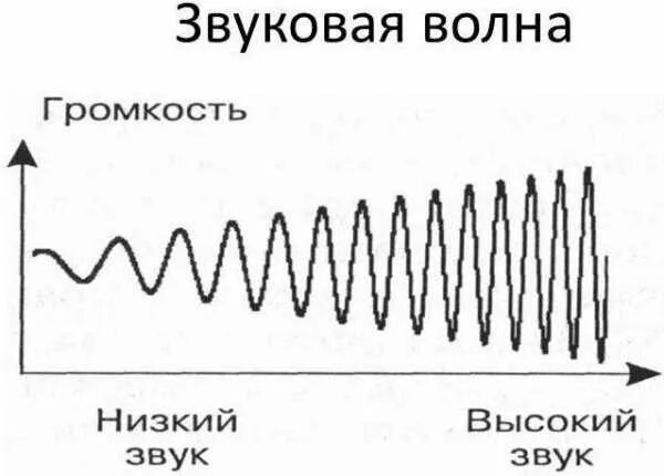 Звуковая информация это в информатике. Распространение звука звуковые волны. Звуковые волны громкость и высота звука. Схема распространения звуковой волны. Состоит из хряща улавливает звуковую волну.