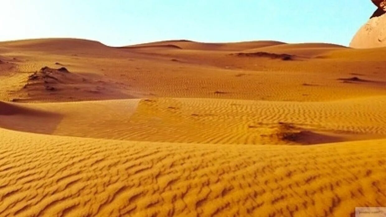 Пустыня сумеру геншин импакт. Глаза на фоне пустыни. Головоломки пустыня. Загадка про пустыню для детей. Национальный парк долина смерти сша.