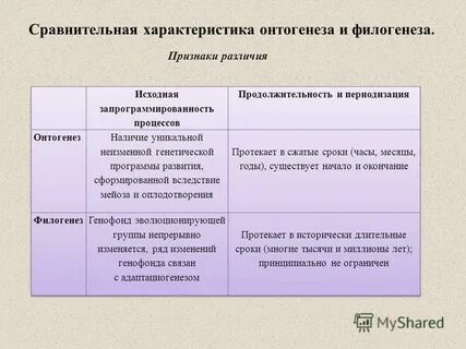 Характеристика онтогенеза