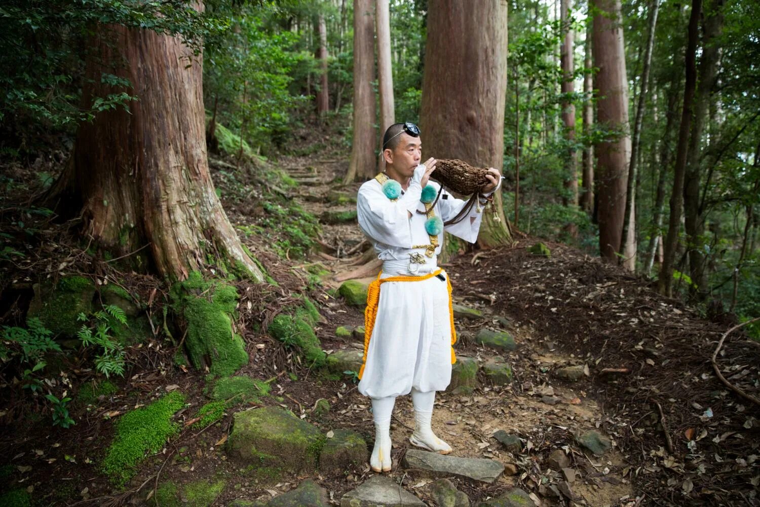 борода отшельника. монах дзиэн. восковик отшельник. день отшельника 29 октября. мик додж отшельник.