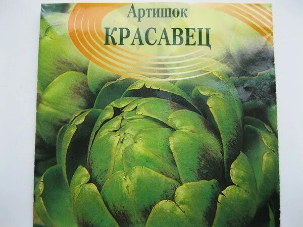 Мадам артишок. Руперт кингфишер. Мадам артишок. Книги похожие на мадам артишок. Мадам артишок.