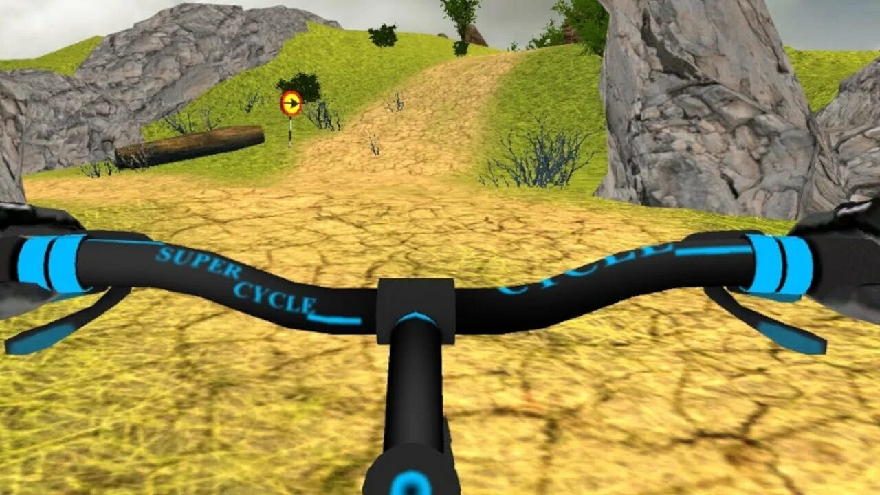Cycle 3d